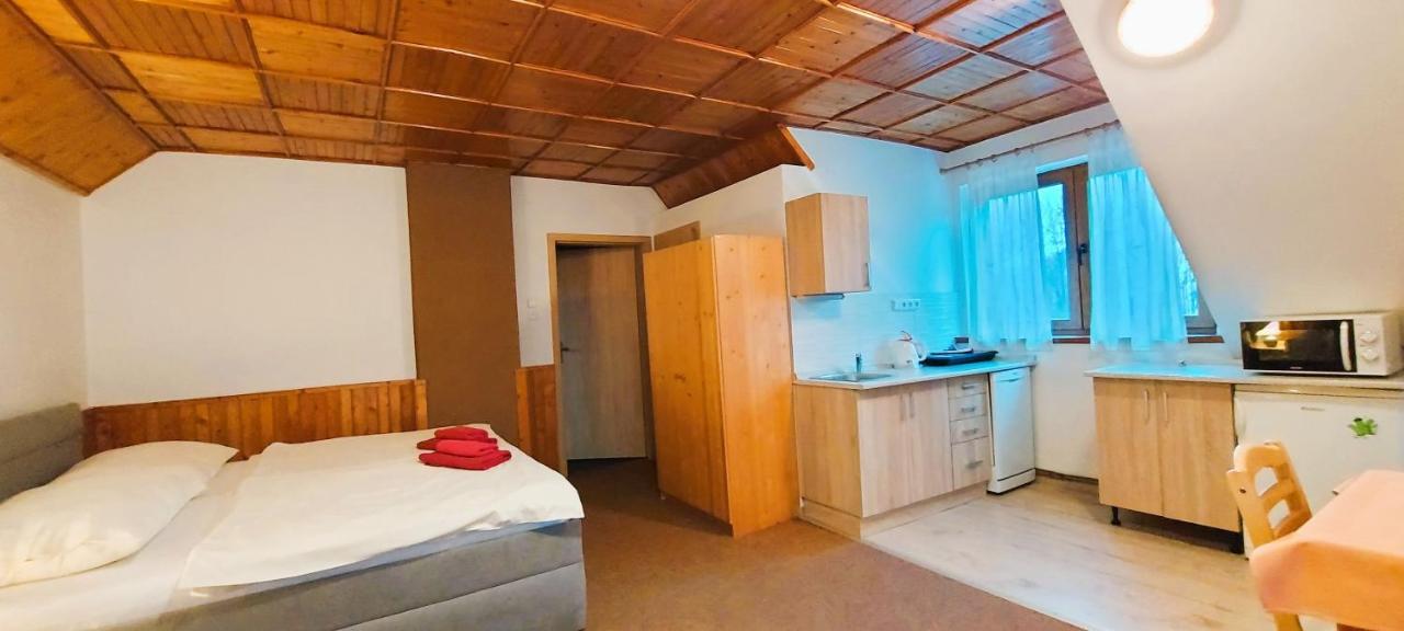 Apartment Ulrich Jablonec nad Jizerou Buitenkant foto